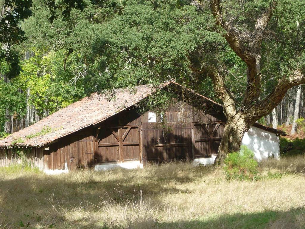 וייה-בוקו-לה-באן Appartements A Cote Lac Marin De Port D'Albret מראה חיצוני תמונה