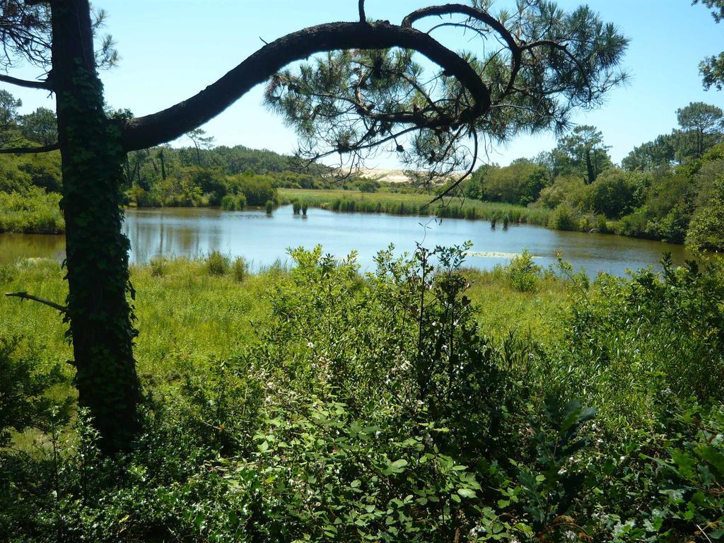 וייה-בוקו-לה-באן Appartements A Cote Lac Marin De Port D'Albret חדר תמונה